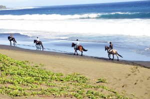 Chevaux-plage-4