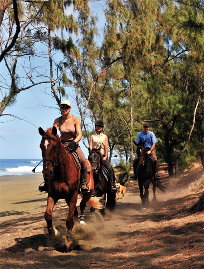 randonnee cheval ile de la reunion